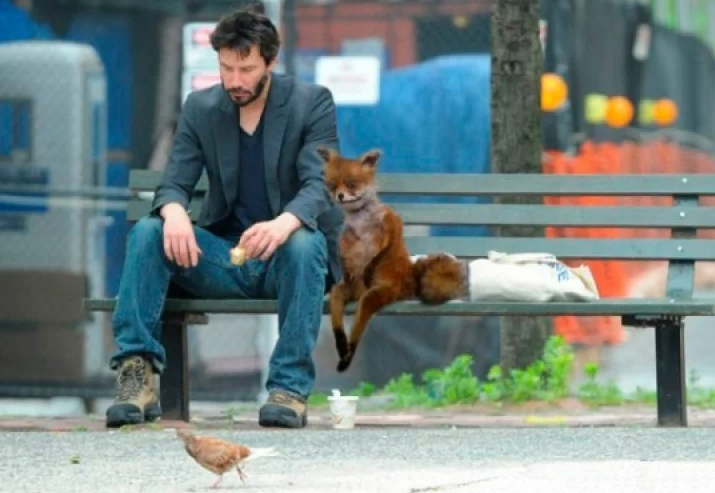 грустный Киану