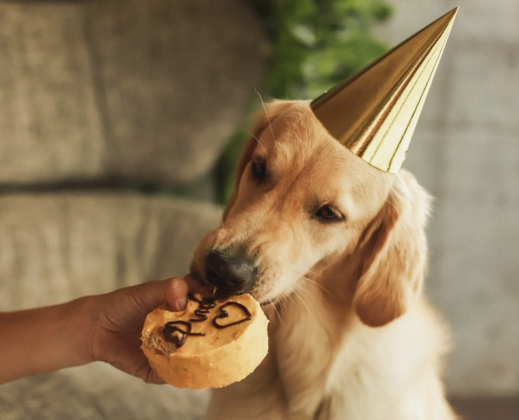 26 - 68.jpg 26 - 68.jpg