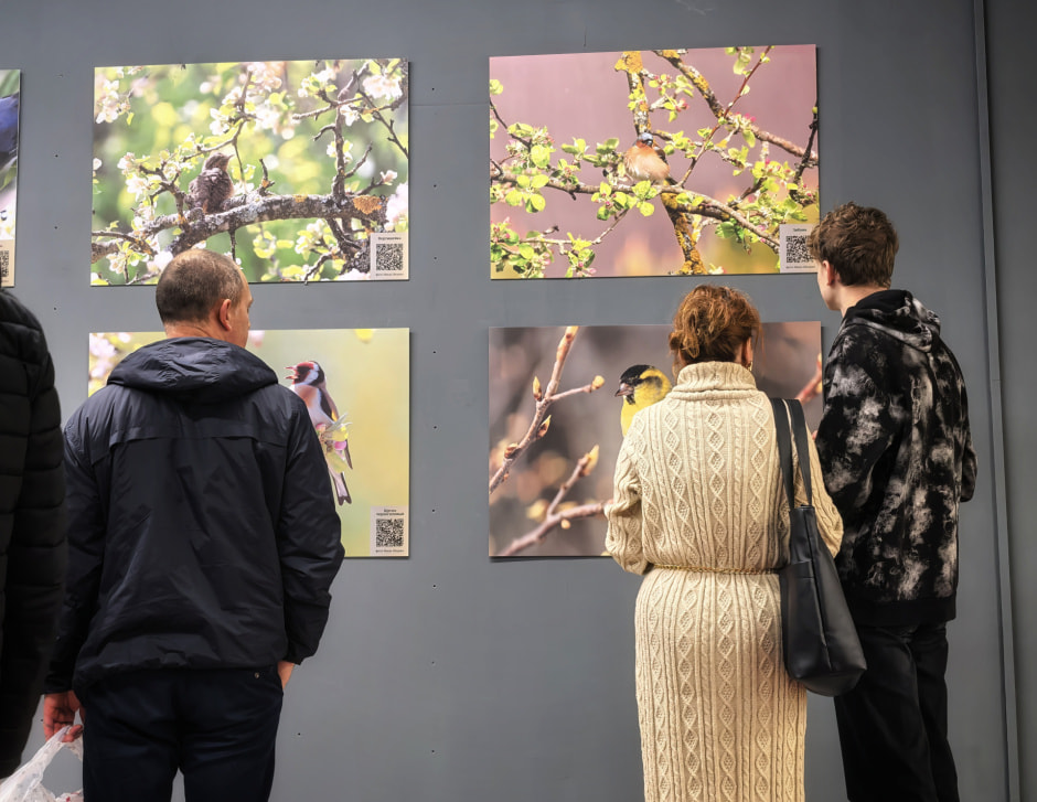 На выставке