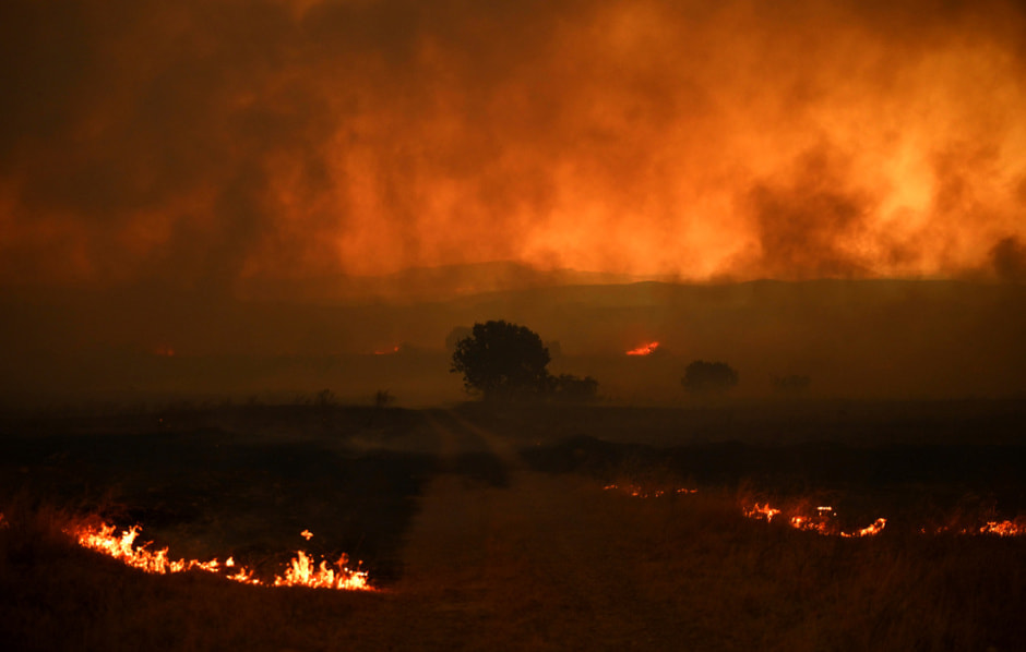 Греция. Пожары 1.jpg