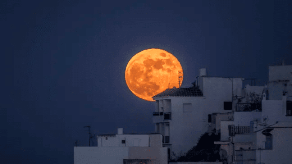 осетровая луна