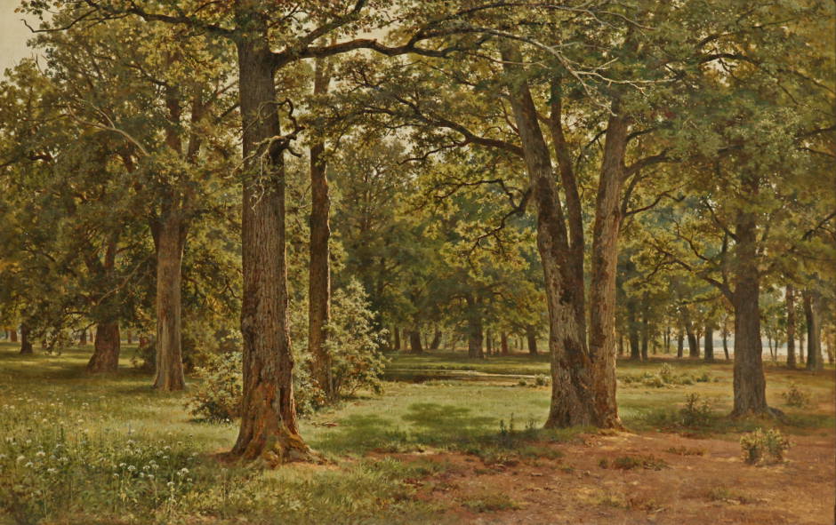 5-В заповедной дубовой роще Петра Великого (в Сестрорецке) (1886) Иван Шишкин.png