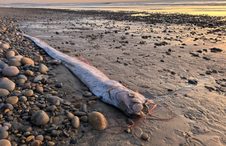 Трехметровую 