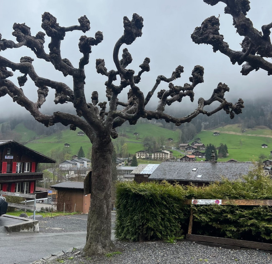 Путешествие по Баварии и Швейцарии 17.jpg