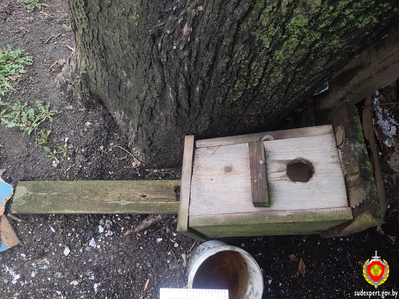 Скворечник.jpg