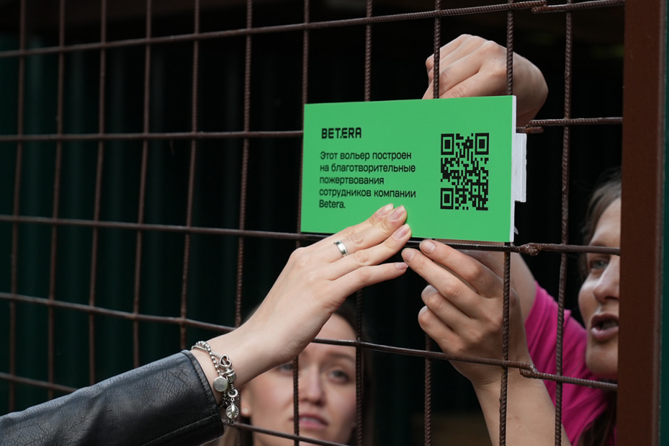 Betera – приюту для животных