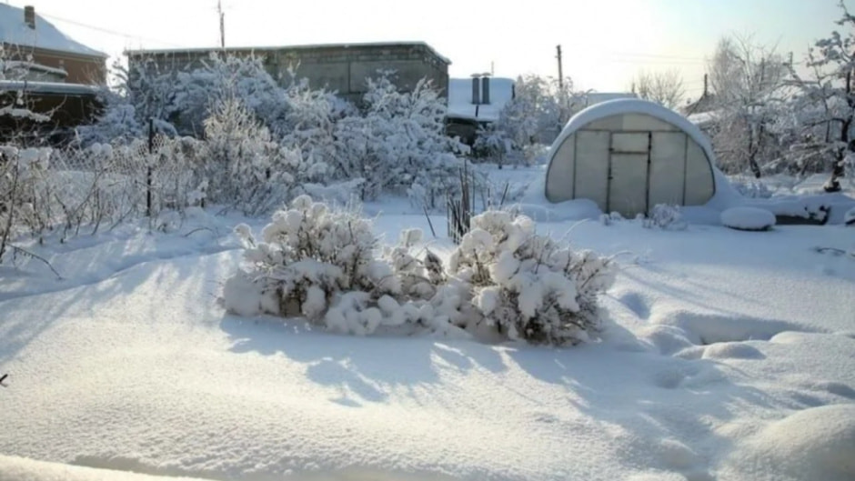 снег на даче.jpg