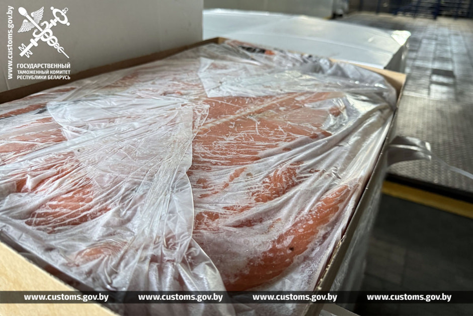 лосось на таможне.jpg