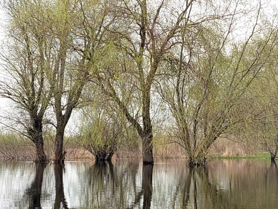 Сплав по морю Геродота 19.jpg Сплав по морю Геродота 19.jpg