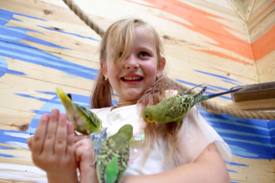 Попугайня в Витебске 19.jpg