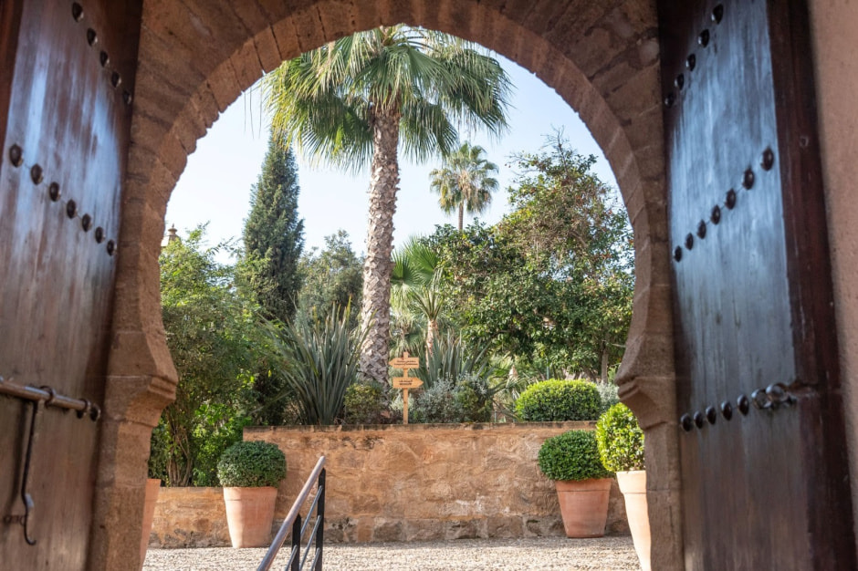 Путешествие в Марокко 2025 40.jpg