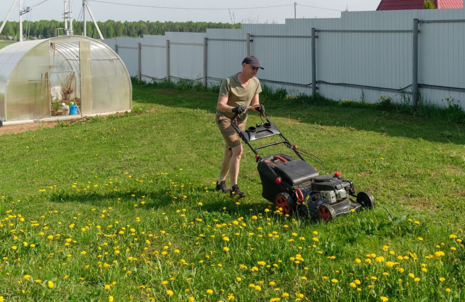 Прививка от энцефалита 2.jpg