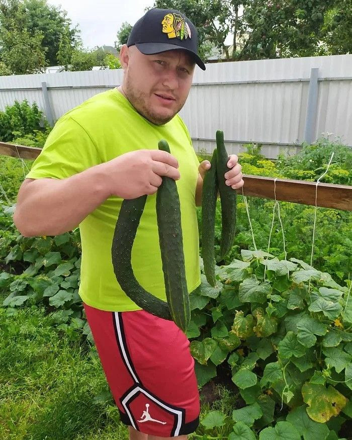 арямнов 007.jpg