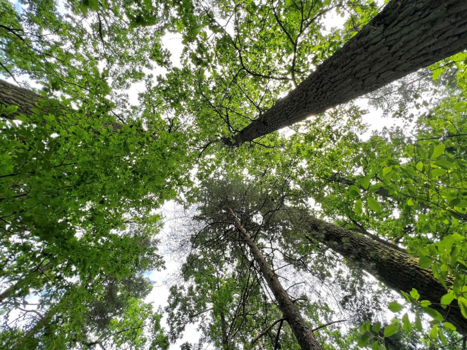 Экспедиция сони 5.jpg