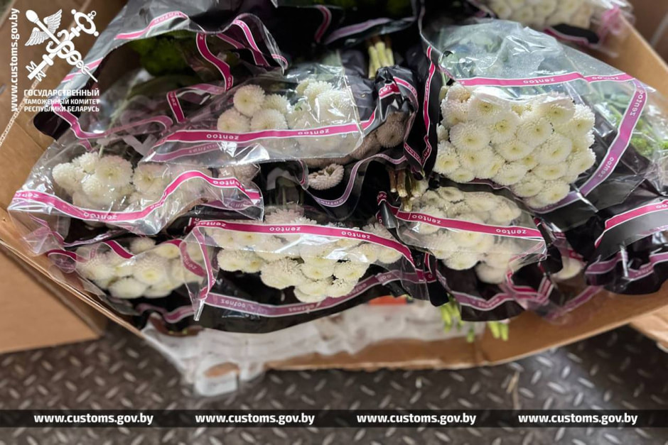 Нелегальные цветы