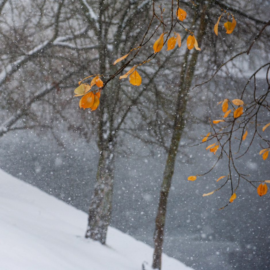 Утепляемся Синоптик Рябов рассказал, когда на неделе ждать похолодания. Прогноз на 18-24 ноября.jpg