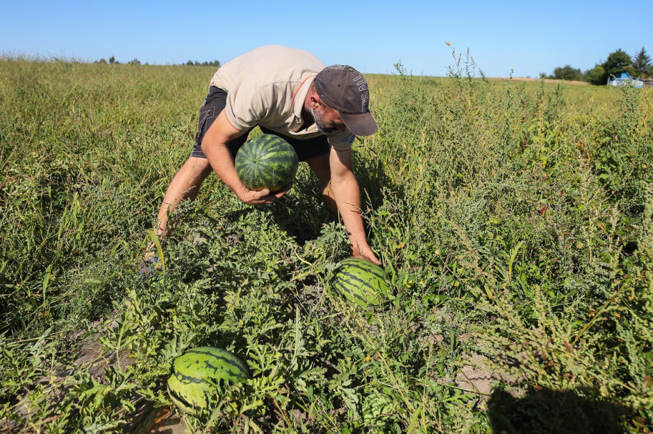 Споровские фермеры из Здитово-21.jpg