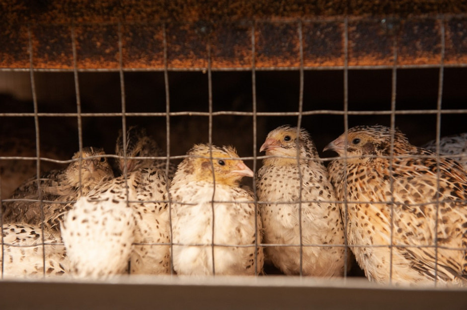 Хутор Окушково 16.jpg