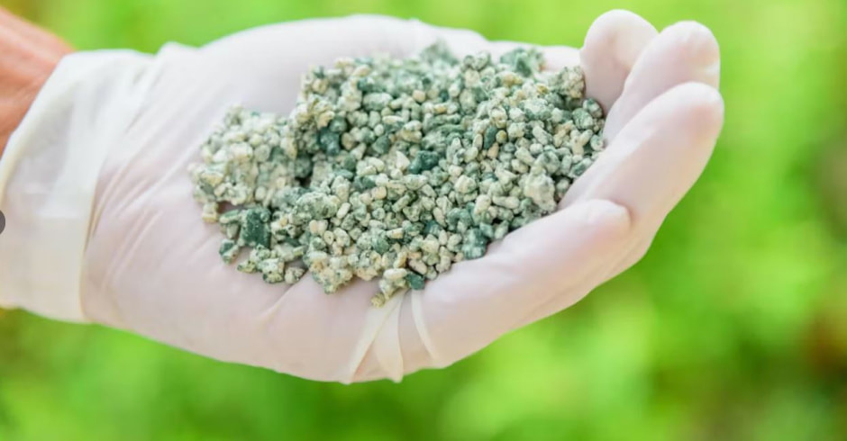 photo_2025-01-07_20-44-09 (3).jpg