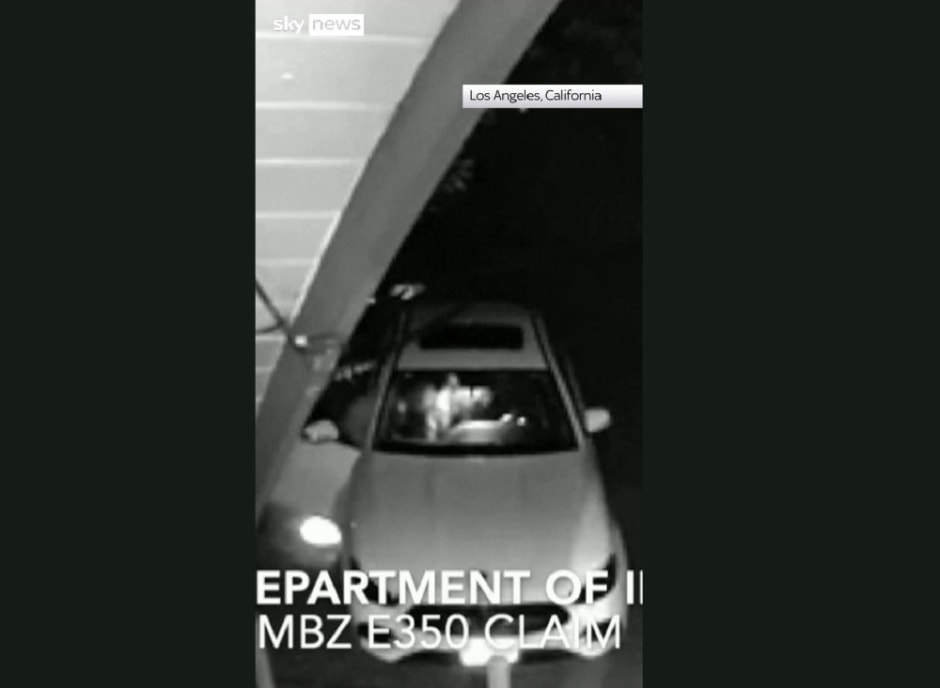 медведь и авто.jpg