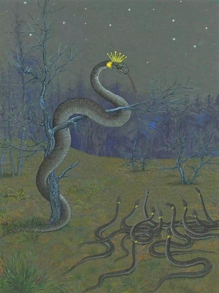 Белорусские змеи 6.jpg