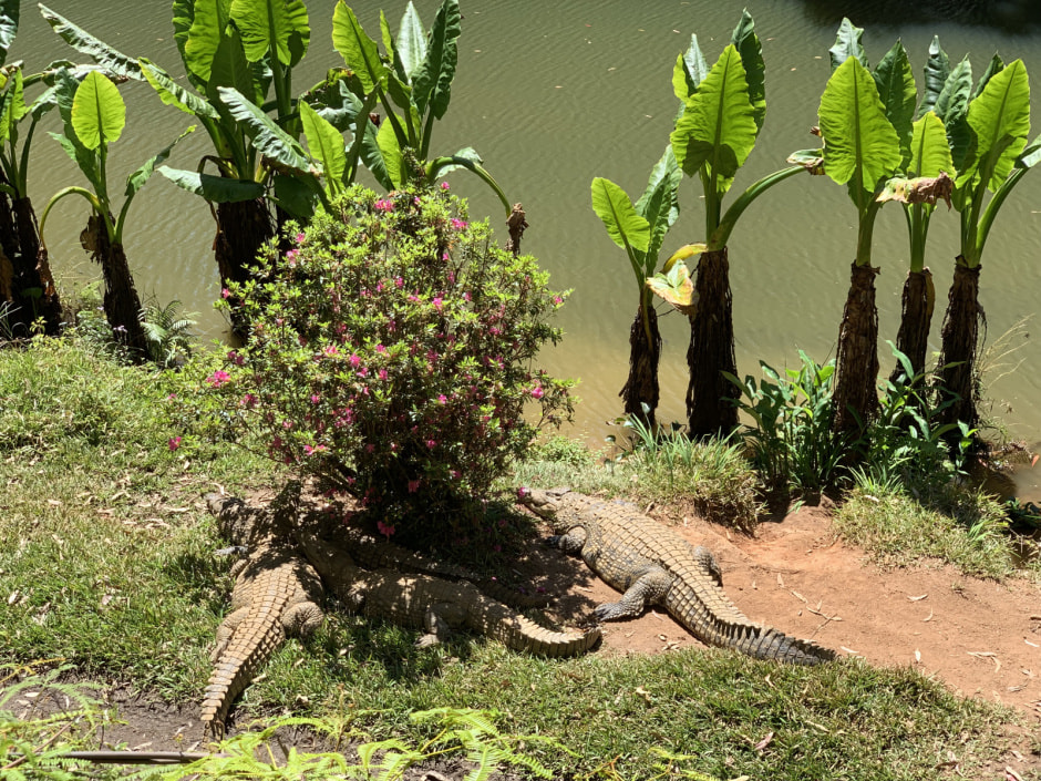 Мадагаскар (24).jpeg Мадагаскар (24).jpeg