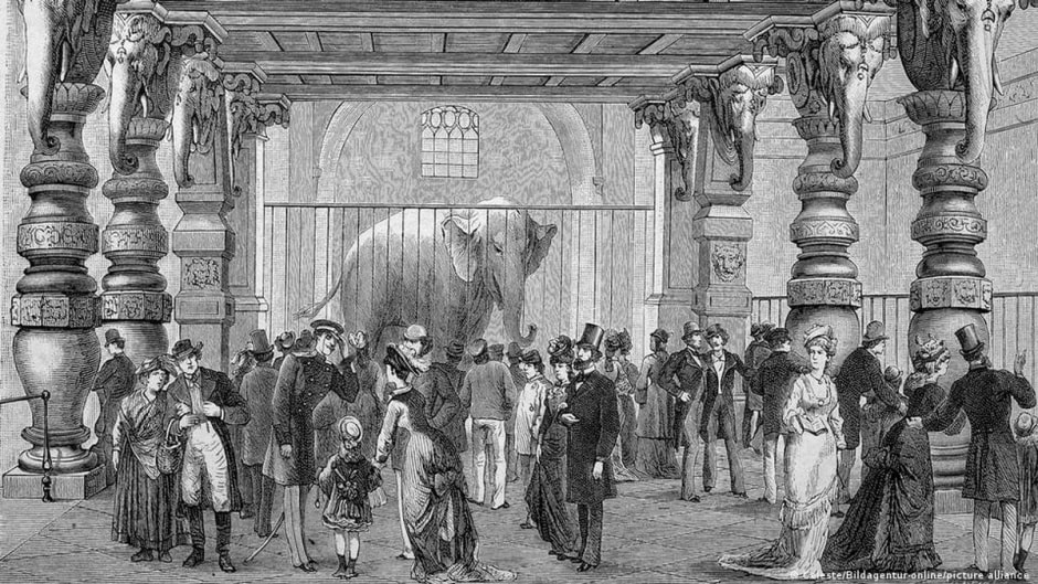 Берлинский зоопарк 8.jpg