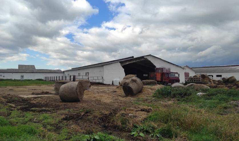 В Новогрудском районе смертельно травмирован работник — во время укладки асфальта (1).jpg
