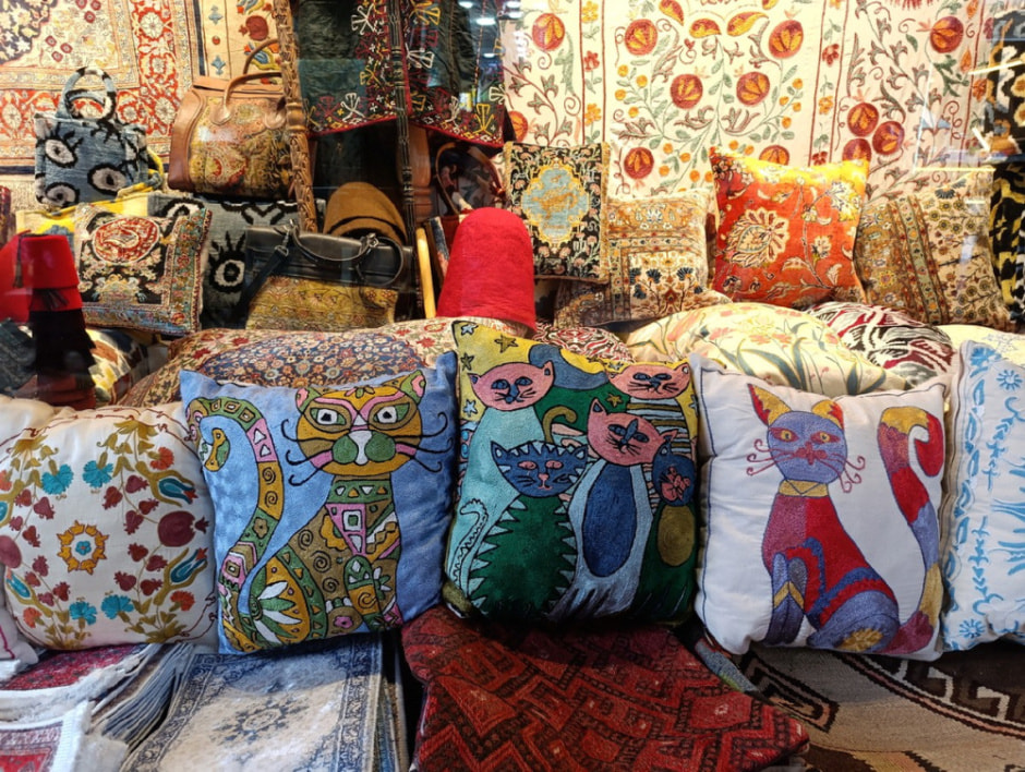 Гуляем по Стамбулу и знакомимся с котами 37.jpg