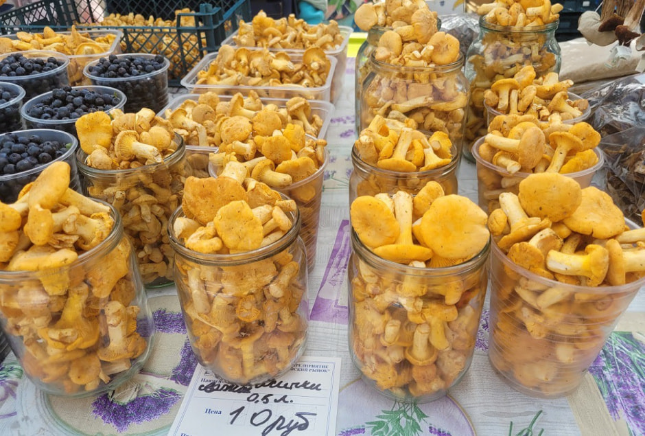 лисички свежие