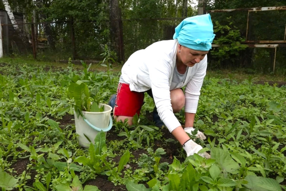 Женщина в огороде