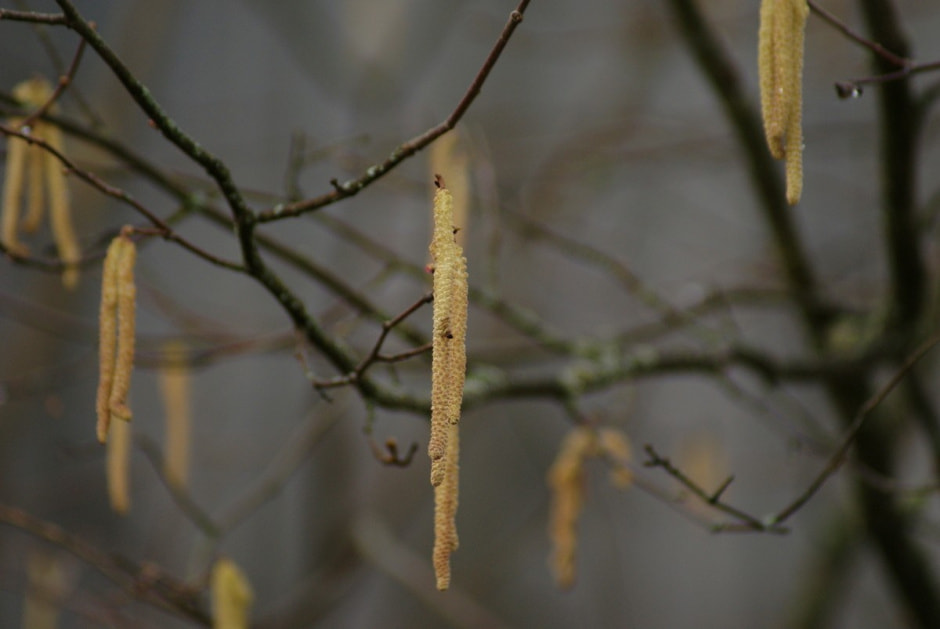 Парень построил дом из глины 12.jpg Парень построил дом из глины 12.jpg