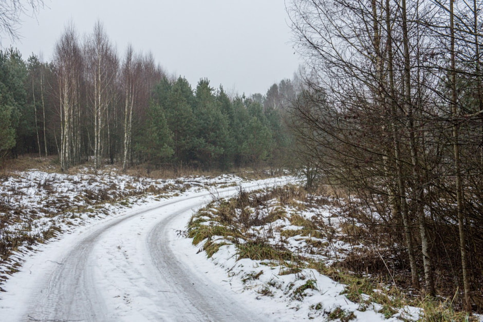 Семья Тузенковых в лесной глуши 3.jpg