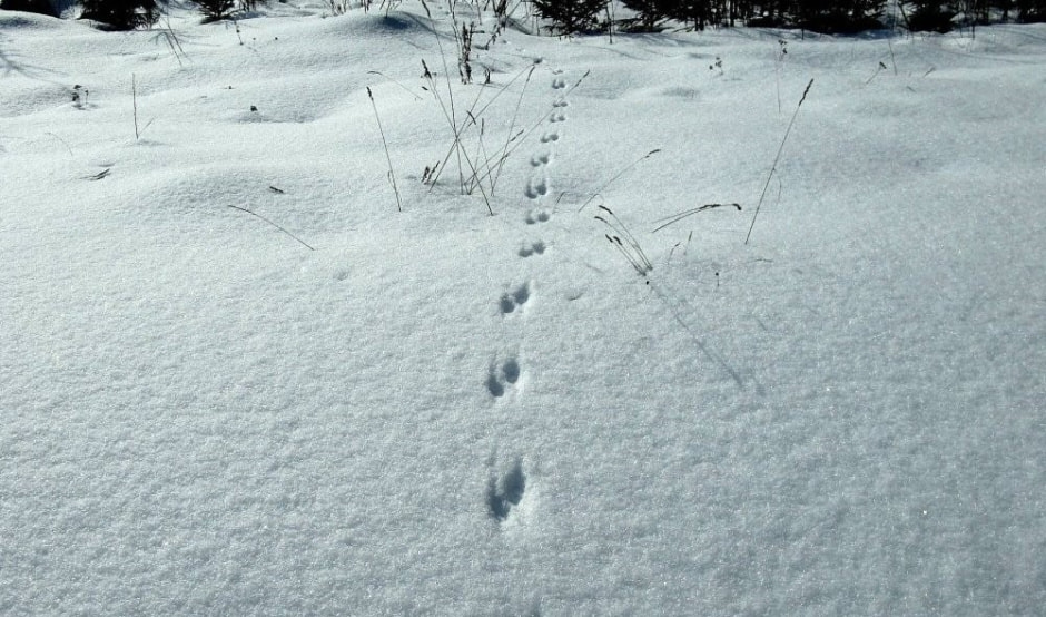 Новшества декабря 2023 10.jpg