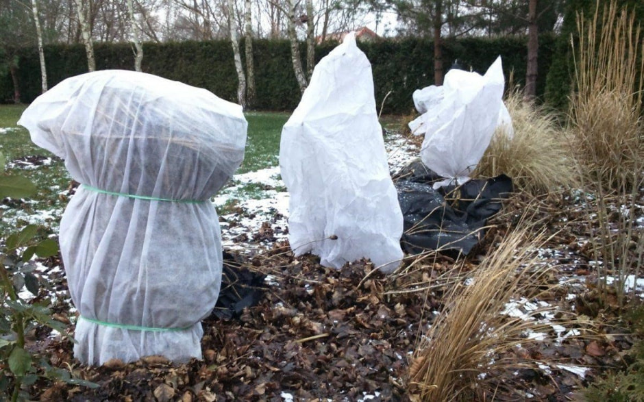 Обвязка кустарников 5.jpg Обвязка кустарников 5.jpg