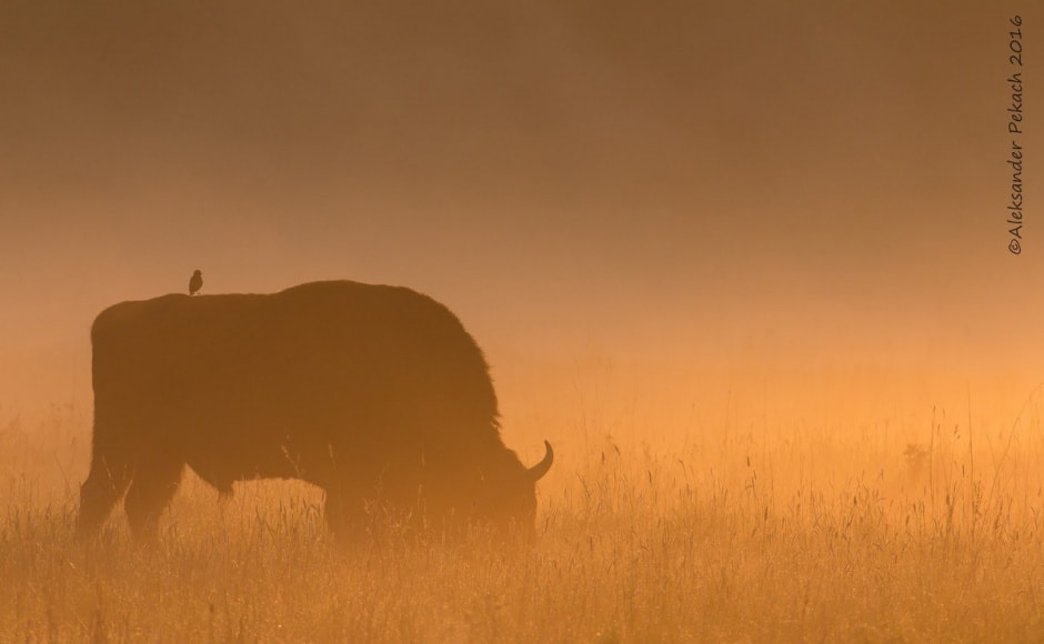 Хата на болоте 18.jpg