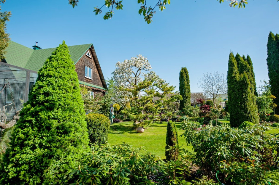 Семья Шокало и экзотический сад 28.jpg