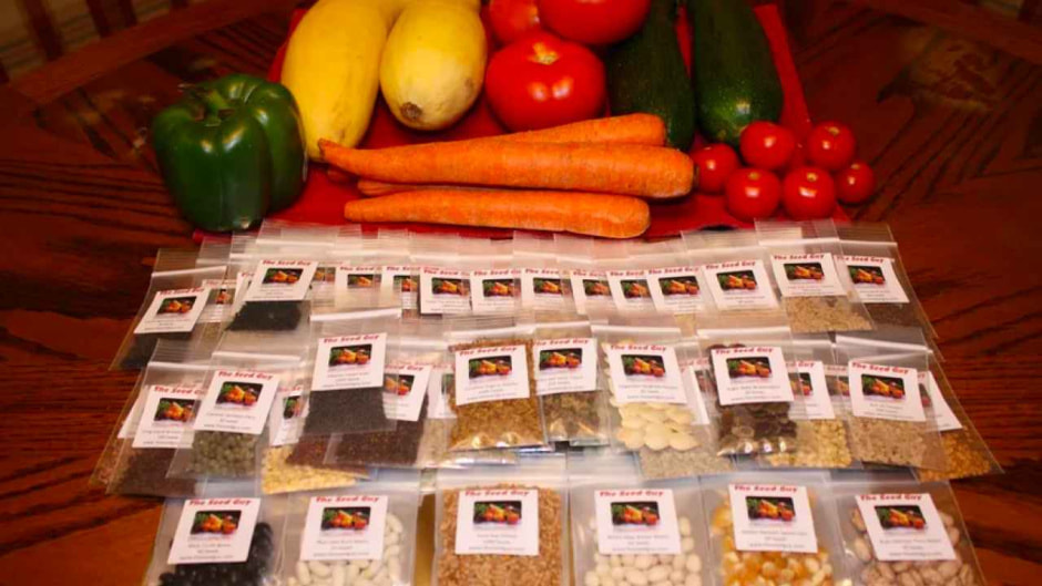 семена семена.jpg