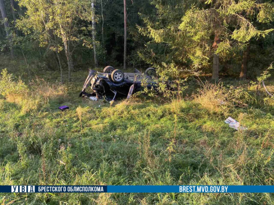 В Брестской области из-за лося перевернулся Volkswagen (3).jpg