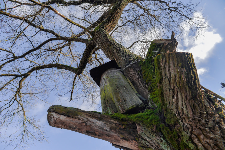 Деревня затопленная Припятью-62.JPG