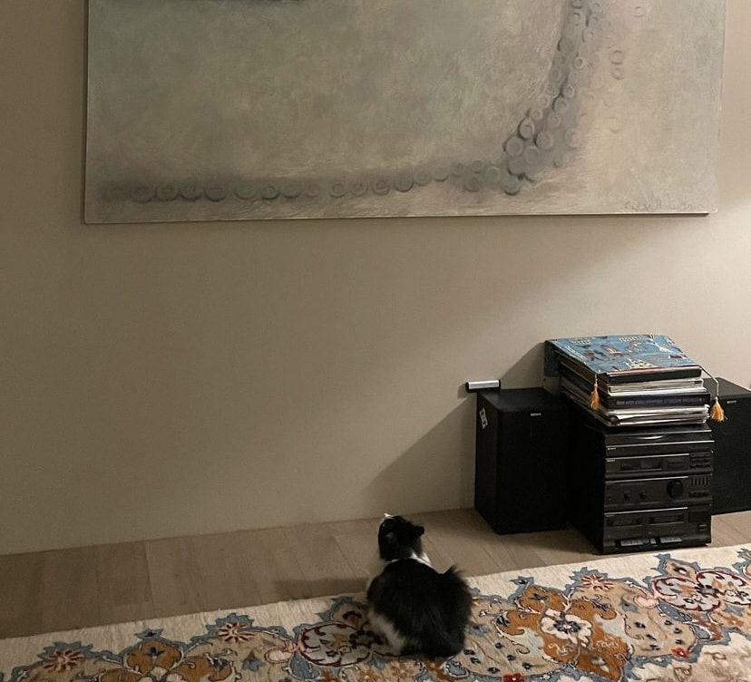 кот толик4.jpeg кот толик4.jpeg