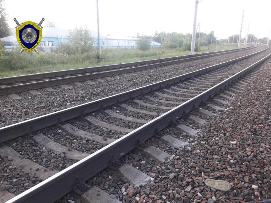 В Жлобине 8-летнюю девочку сбил поезд – ребенок скончался на месте.jpg