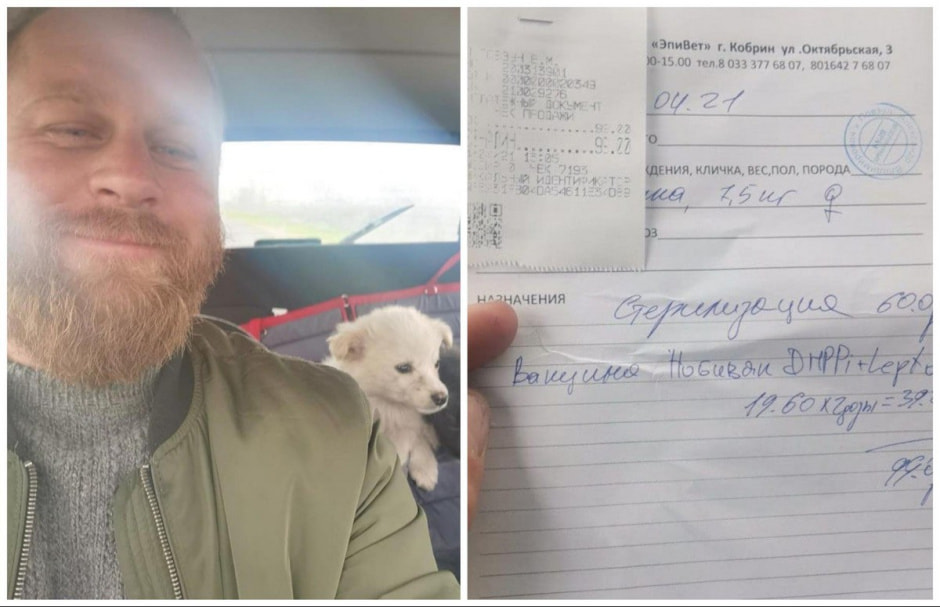 Спасение животных проект Земляне 8.jpg