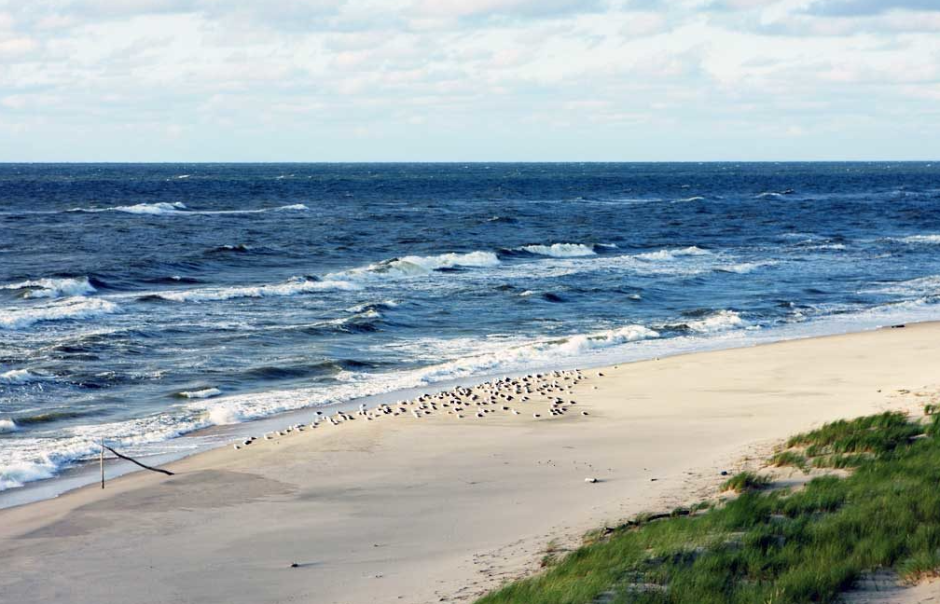 балтийское море.png балтийское море.png