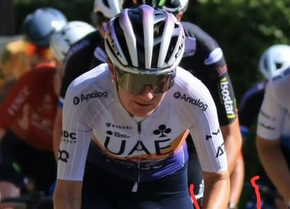 Елена Омелюсик.jpg