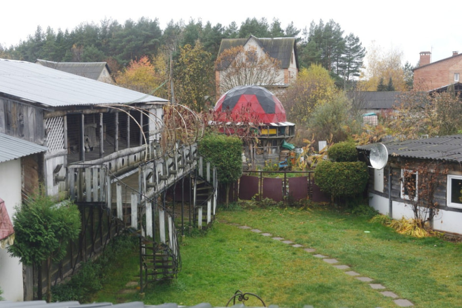 Зоогостиница 4 лапы 10.jpg