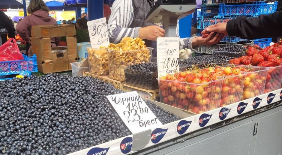 черника брест