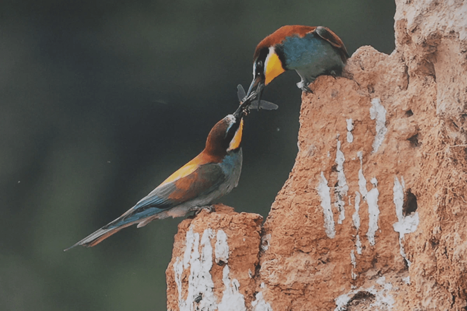 выставка 3.png