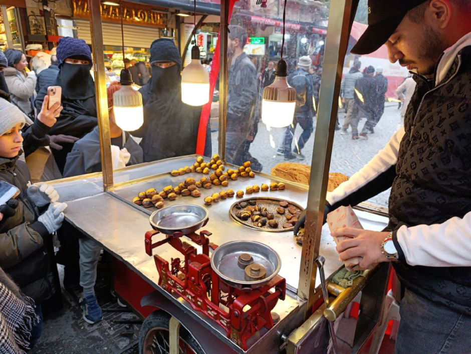 Гуляем по Стамбулу и знакомимся с котами 34.jpg