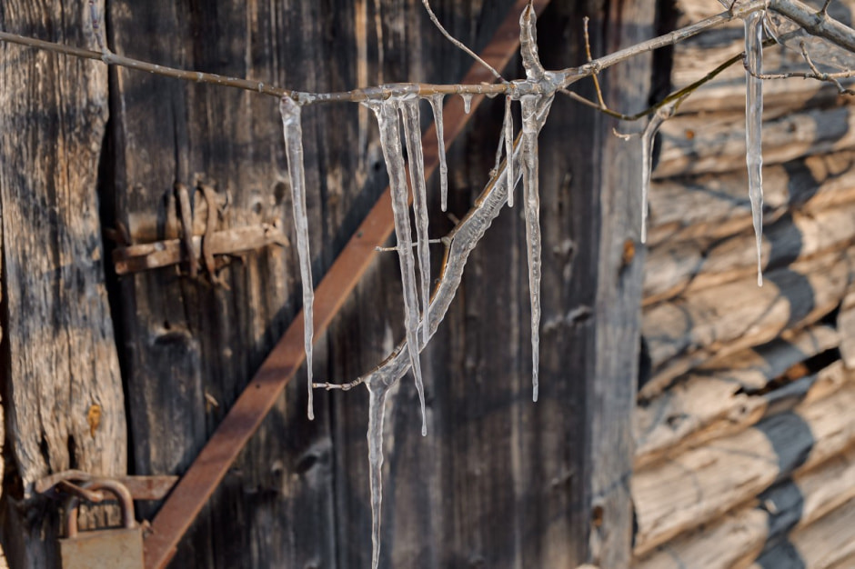 Возрождение деревни Косаричи 28.jpg